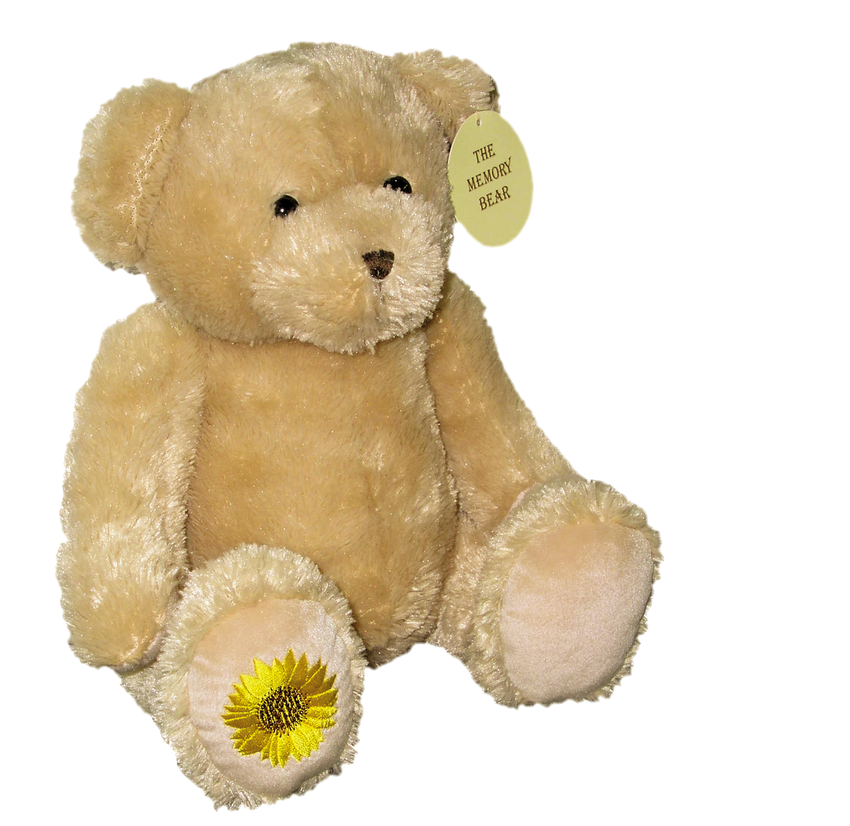 Memory Bear